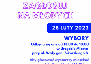 WYBORY DO MRMT